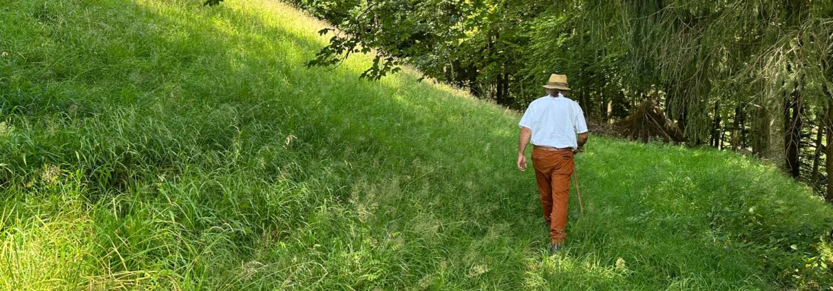 Landwirtschaft Hindertobel Sternenberg Schafhaltung Lammfleisch ökologisch